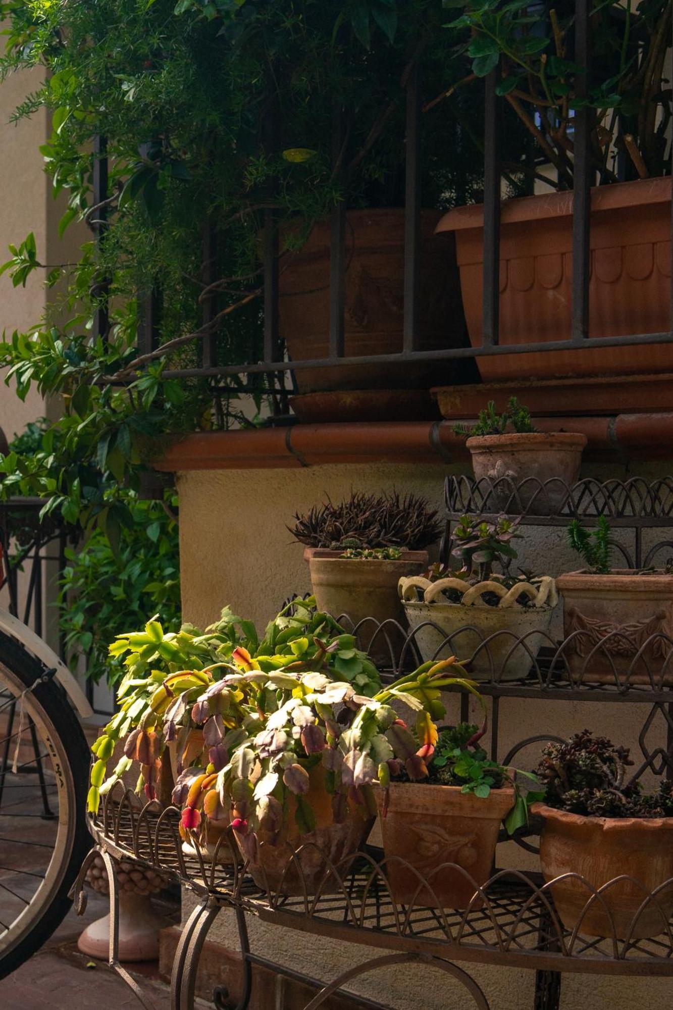 Guest House Antichi Ulivi Mondello Zewnętrze zdjęcie